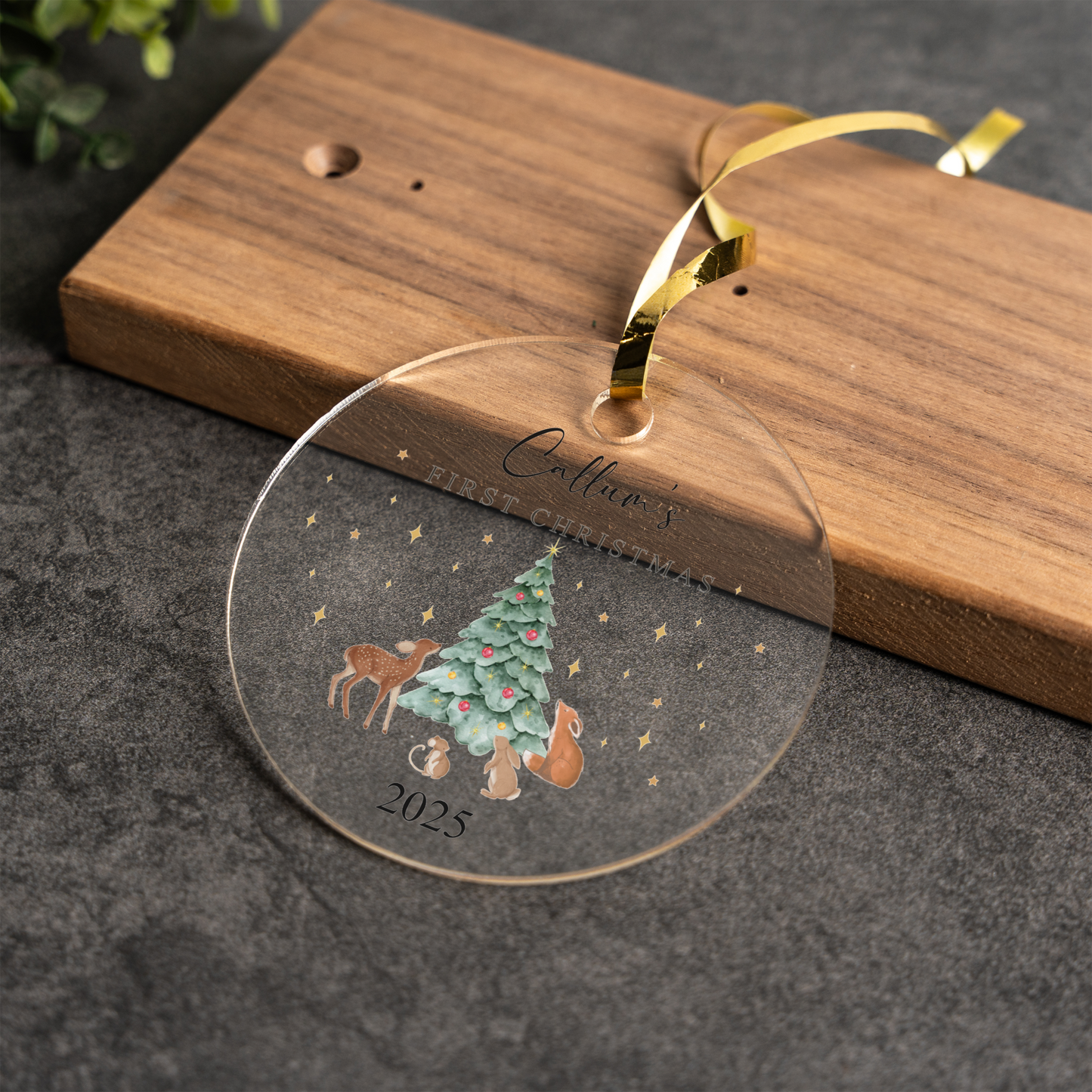 First Christmas Acrylic Ornament, Cute Woodland Animals, Tree Decoration, Keepsake Gift for Kids