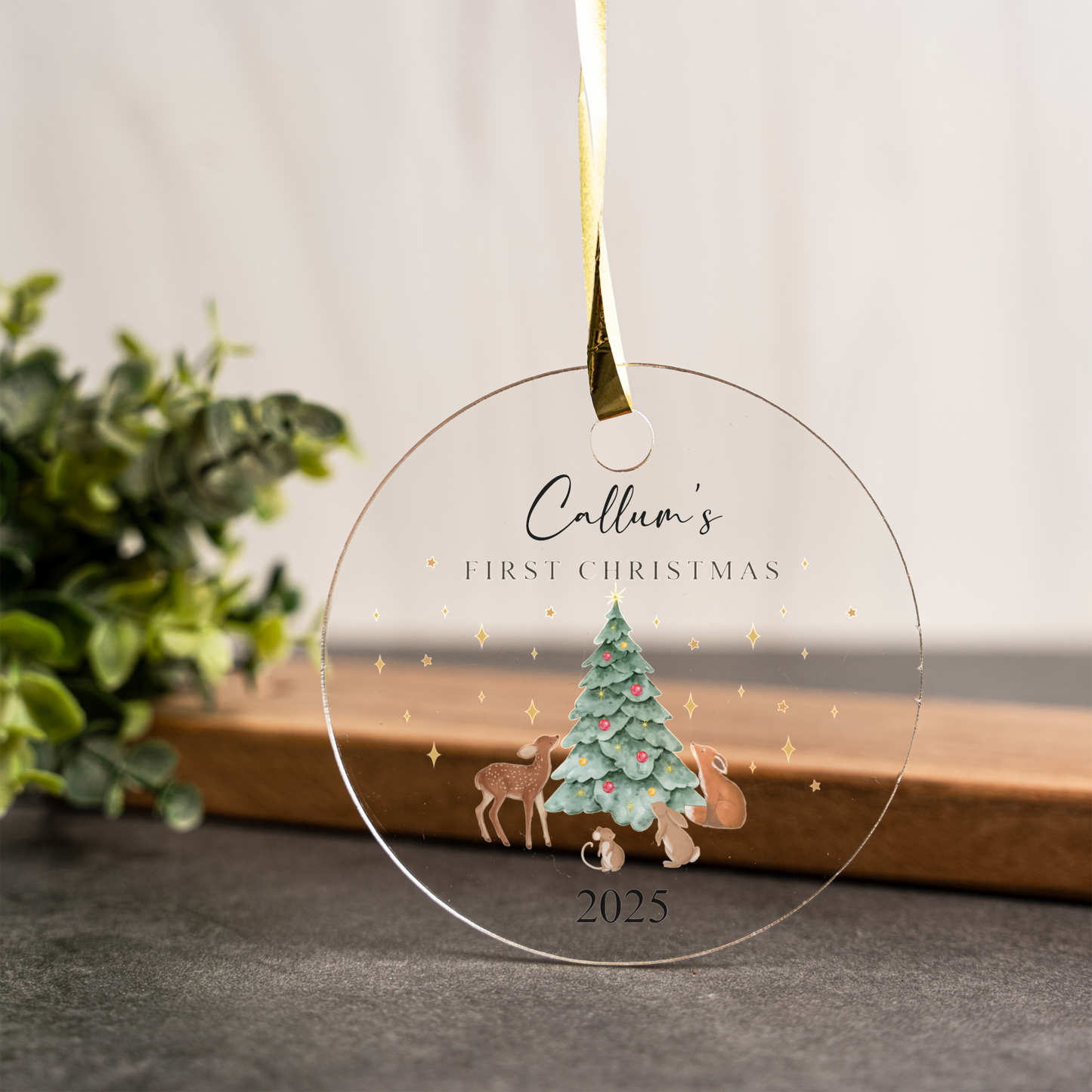 First Christmas Acrylic Ornament, Cute Woodland Animals, Tree Decoration, Keepsake Gift for Kids