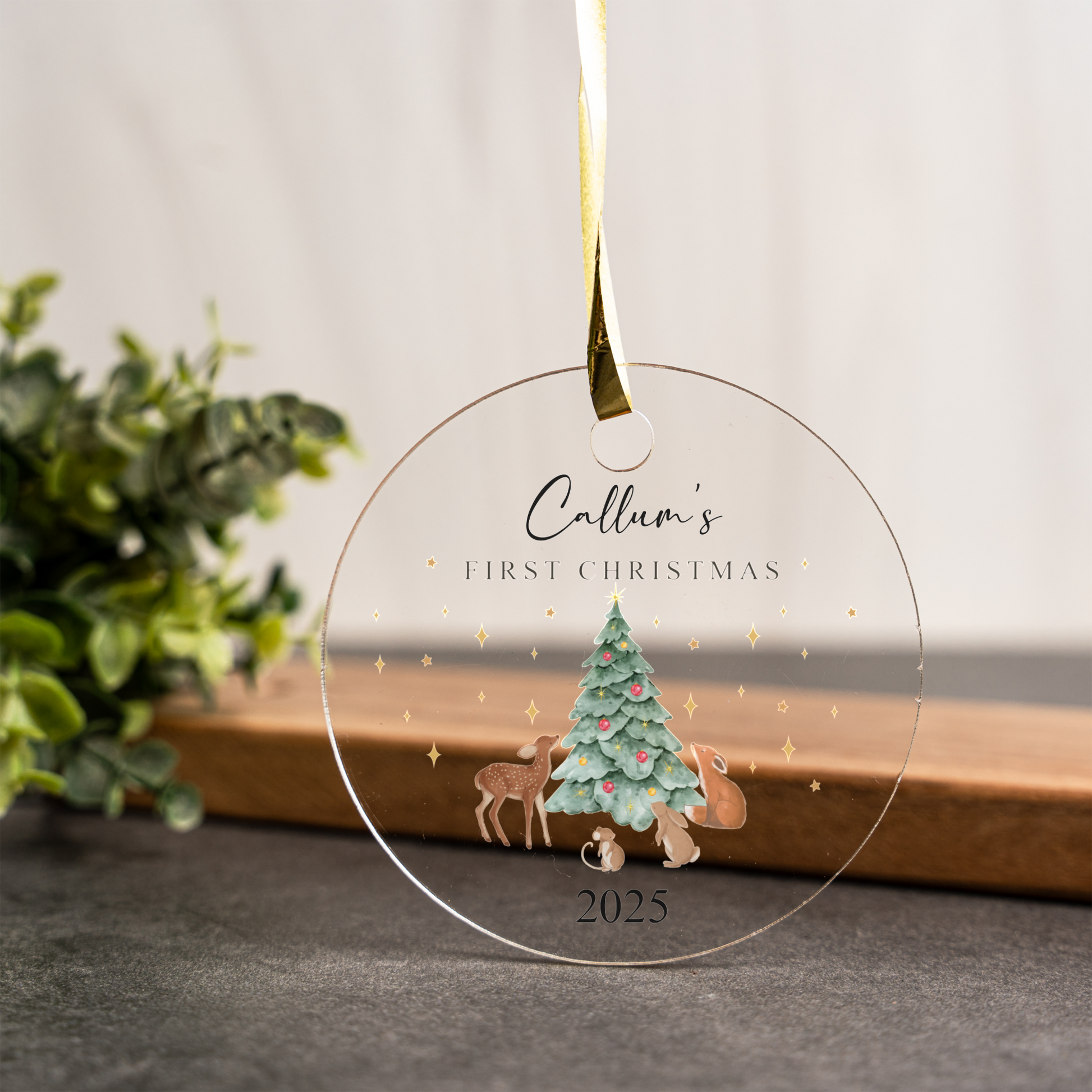 First Christmas Acrylic Ornament, Cute Woodland Animals, Tree Decoration, Keepsake Gift for Kids